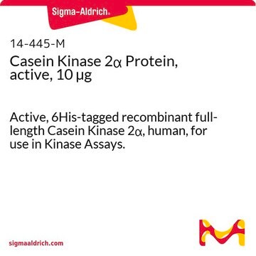 Casein Kinase 2&#945; Protein, active, 10 &#181;g Active, 6His-tagged recombinant full-length Casein Kinase 2&#945;, human, for use in Kinase Assays.