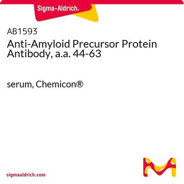 Anti-Amyloid Precursor Protein Antibody, a.a. 44-63 serum, Chemicon&#174;