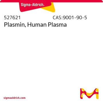 Plasmin, Human Plasma