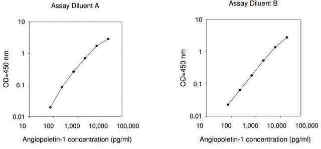 Human Angiopoietin-1 ELISA Kit for serum, plasma, cell culture supernatant and urine