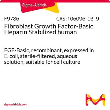 Fibroblast Growth Factor-Basic Heparin Stabilized human FGF-Basic, recombinant, expressed in E. coli, sterile-filtered, aqueous solution, suitable for cell culture