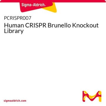 Human CRISPR Brunello Knockout Library