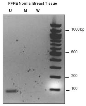 CpGenome Direct Prep Bisulfite Modification Kit (50 Reactions) The CpGenome Direct Prep Bisulfite Modification Kit allows bisulfite conversion directly from a variety of starting materials, including cultured cells, blood, fresh tissue &amp; fixed tissue samples.