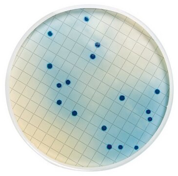 m-FC Broth (Dehydrated) without Rosolic Acid For testing waste and effluent waters for fecal coliforms. To be used with rosolic acid (MB00 000 0R).