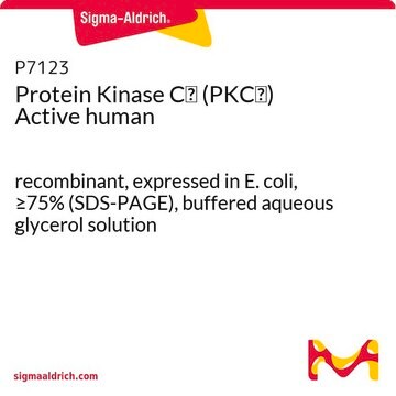 Protein Kinase&#160;C&#957; (PKC&#957;) Active human recombinant, expressed in E. coli, &#8805;75% (SDS-PAGE), buffered aqueous glycerol solution