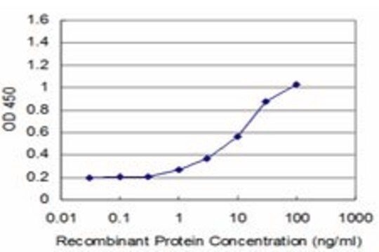 Monoclonal Anti-MYOG antibody produced in mouse clone 3E3, purified immunoglobulin, buffered aqueous solution