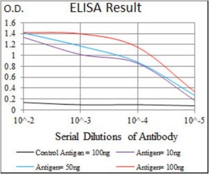 Anti-TGFBR3, clone 1C5H11 Antibody ascites fluid, clone 1C5H11, from mouse