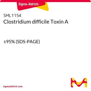 Clostridium difficile Toxin A &#8805;95% (SDS-PAGE)