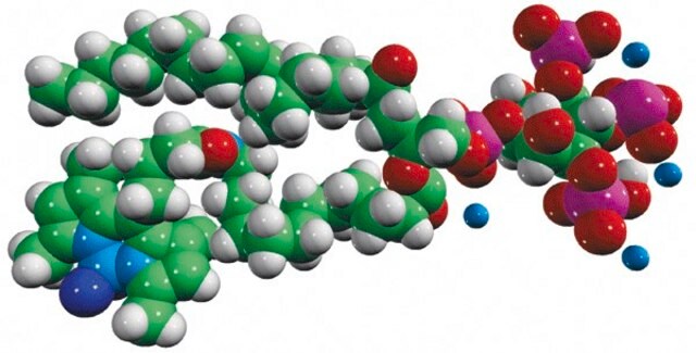 TopFluor&#8482; PI(3,4,5)P3 Avanti Research&#8482; - A Croda Brand 810189P, powder