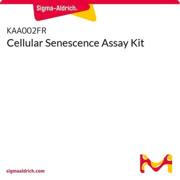 Cellular Senescence Assay Kit