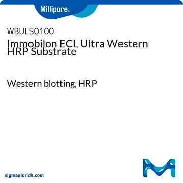 Immobilon ECL Ultra Western HRP Substrate Western blotting, HRP