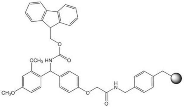 Rink Amide AM resin (100-200 mesh) Novabiochem&#174;