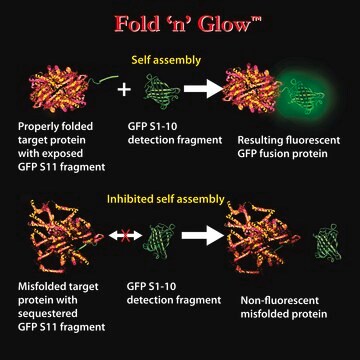 Green Universal&nbsp;Detection Reagent