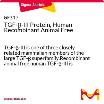 TGF-&#946;-III Protein, Human Recombinant Animal Free TGF-&#946;-III is one of three closely related mammalian members of the large TGF-&#946; superfamily.Recombinant animal free human TGF-&#946;-III is manufactured using all non-animal reagents.