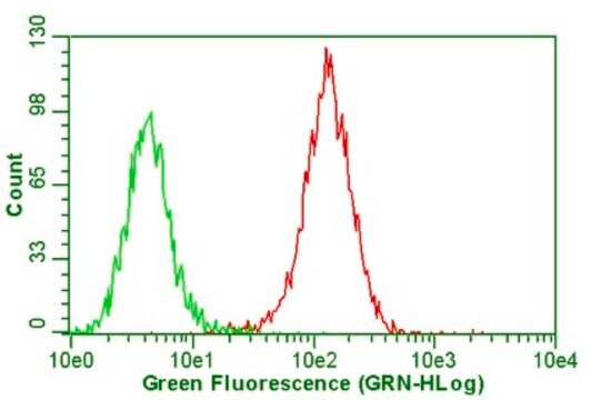 Anti-Integrin &#945;V&#946;5 Antibody, clone P1F6 clone P1F6, Chemicon&#174;, from mouse