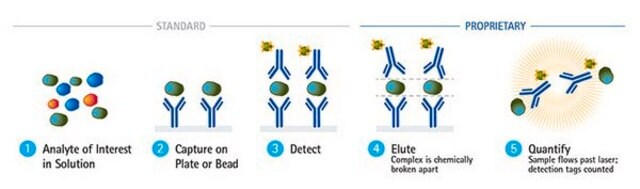 SMC&#174; Human Total &#945;-synuclein High Sensitivity Immunoassay Kit Uses 100 &#181;L per well of 1:200 diluted serum or plasma samples, or 1:10 diluted cerebrospinal fluid (CSF) samples.