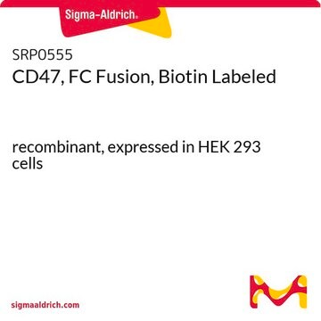 CD47, FC Fusion, Biotin Labeled recombinant, expressed in HEK 293 cells