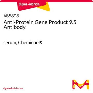 Anti-Protein Gene Product 9.5 Antibody serum, Chemicon&#174;