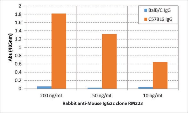 Anti-Mouse IgG2c-Biotin antibody, Rabbit monoclonal recombinant, expressed in HEK 293 cells, clone RM223, purified immunoglobulin