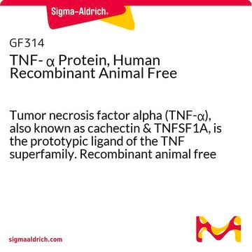 TNF- &#945; Protein, Human Recombinant Animal Free Tumor necrosis factor alpha (TNF-&#945;), also known as cachectin &amp; TNFSF1A, is the prototypic ligand of the TNF superfamily. Recombinant animal free human TNF-&#945; is manufactured using all non-animal reagents.