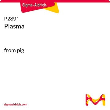 Plasma from pig