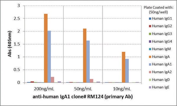 Anti-Human IgA1-Biotin antibody, Rabbit monoclonal recombinant, expressed in HEK 293 cells, clone RM124, purified immunoglobulin