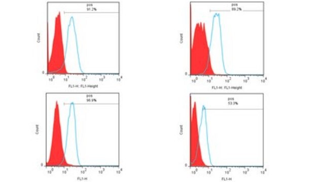 Anti-CD166 (ALCAM) Antibody, clone TAG-1A3 clone TAG-1A3, from mouse