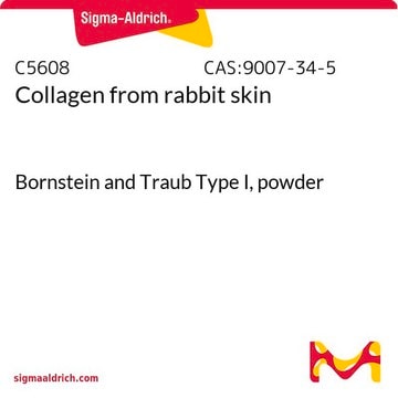 Collagen from rabbit skin Bornstein and Traub Type I, powder