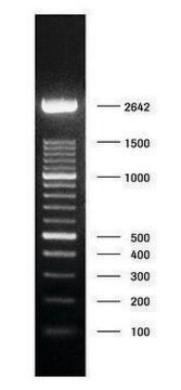 DNA Molecular Weight Marker XIV (100 bp ladder) solution, pkg of 50&#160;&#956;g (in 200 &#956;l)