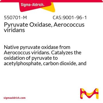 Pyruvate Oxidase, Aerococcus viridans Native pyruvate oxidase from Aerococcus viridans. Catalyzes the oxidation of pyruvate to acetylphosphate, carbon dioxide, and hydrogen peroxide in the presence of phosphate.