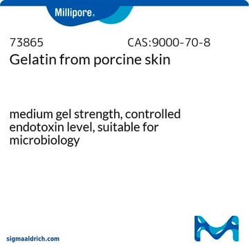 ゼラチン from porcine skin from Porcine skin, pkg of 500&#160;g, suitable for microbiology