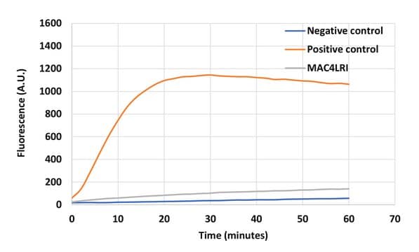 MetaPolyzyme with RNase inhibitor Lytic enzyme mixture for RNA extraction