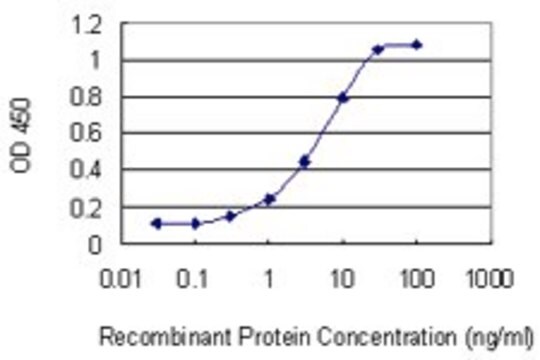 Monoclonal Anti-RHOBTB2 antibody produced in mouse clone 2G6, purified immunoglobulin, buffered aqueous solution