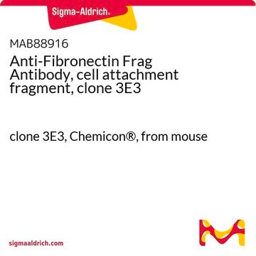 Anti-Fibronectin Frag Antibody, cell attachment fragment, clone 3E3 clone 3E3, Chemicon&#174;, from mouse