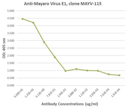 Anti-Mayaro Virus E1 Antibody, clone MAY-115