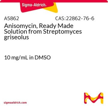 Anisomycin, Ready Made Solution from Streptomyces griseolus 10&#160;mg/mL in DMSO