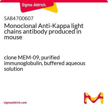 Monoclonal Anti-Kappa light chains antibody produced in mouse clone MEM-09, purified immunoglobulin, buffered aqueous solution