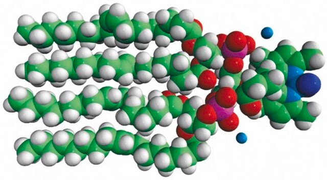 TopFluor&#8482; Cardiolipin 1,1&#8242;,2,2&#8242;-tetraoleoyl cardiolipin[4-(dipyrrometheneboron difluoride)butanoyl] (ammonium salt) TopFluor&#8482; Cardiolipin, chloroform