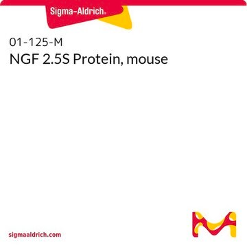 NGF 2.5S Protein, mouse