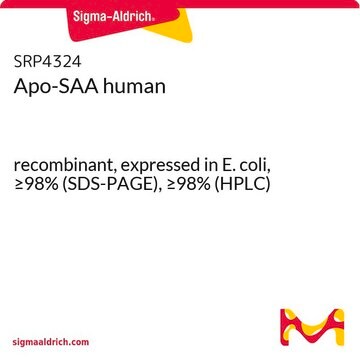 Apo-SAA human recombinant, expressed in E. coli, &#8805;98% (SDS-PAGE), &#8805;98% (HPLC)