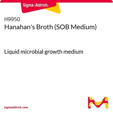 Hanahan&#8242;s Broth (SOB Medium) Liquid microbial growth medium