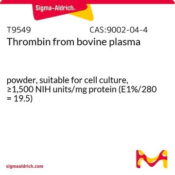 Thrombin from bovine plasma powder, suitable for cell culture, &#8805;1,500&#160;NIH units/mg protein (E1%/280 = 19.5)