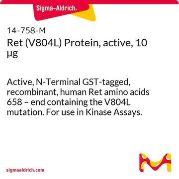 Ret (V804L) Protein, active, 10 &#181;g Active, N-Terminal GST-tagged, recombinant, human Ret amino acids 658 &#8211; end containing the V804L mutation. For use in Kinase Assays.