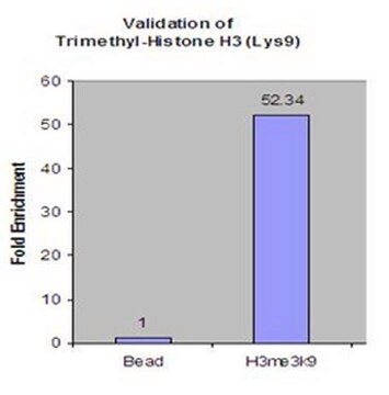 Anti-trimethyl-Histone H3 (Lys9) Antibody, clone 6F12-H4, Trial Size clone 6F12-H4, from mouse