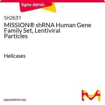 MISSION&#174; shRNA Human Gene Family Set, Lentiviral Particles Helicases