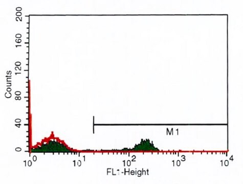 Anti-CD4 antibody, Mouse monoclonal clone Q4120, purified from hybridoma cell culture