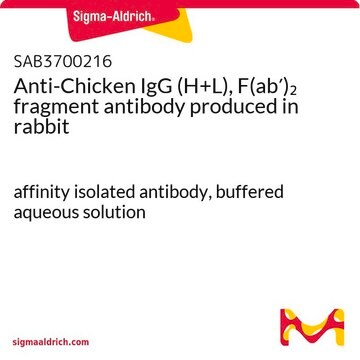 Anti-Chicken IgG (H+L), F(ab&#8242;)2 fragment antibody produced in rabbit affinity isolated antibody, buffered aqueous solution