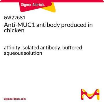 Anti-MUC1 antibody produced in chicken affinity isolated antibody, buffered aqueous solution