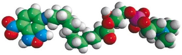 12:0 Lyso NBD PC Avanti Research&#8482; - A Croda Brand 810128P, powder