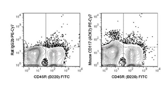 Anti-CD117 (c-Kit) (mouse), PE-Cy7, clone ACK2 Antibody clone ACK2, from rat, PE-Cy7